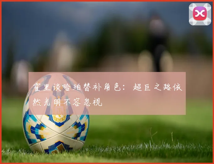 霍里谈哈珀替补角色：超巨之路依然光明不容忽视