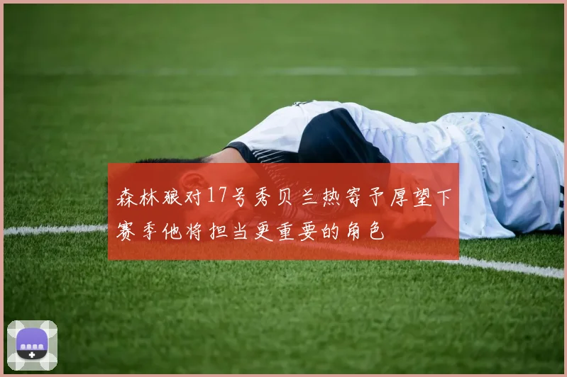 森林狼对17号秀贝兰热寄予厚望下赛季他将担当更重要的角色