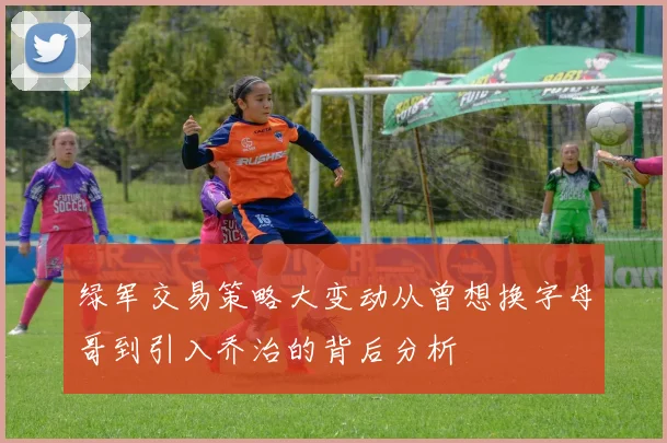 绿军交易策略大变动从曾想换字母哥到引入乔治的背后分析